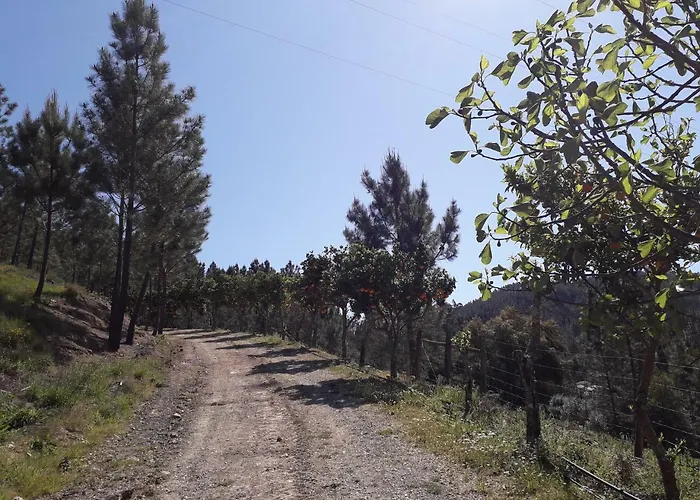 Nossa Senhora Do Pranto ベッド・アンド・ブレックファスト 3*